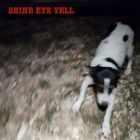 Blind Dog